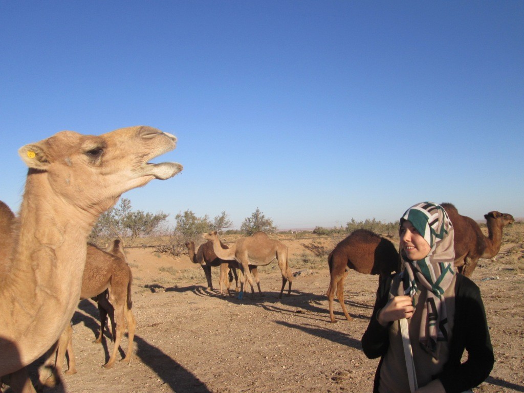 Article : Laghouat, à 430 km d&rsquo;Alger