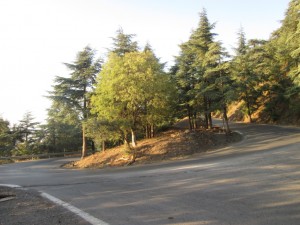 Beaux lacets de Chr&eacute;a